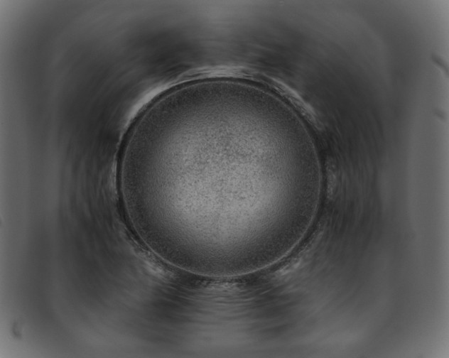X0000093771174200710161236
