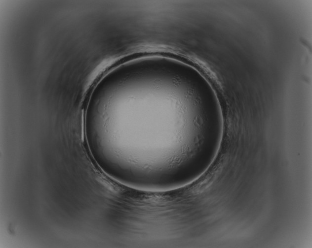 X0000093771175200710161236