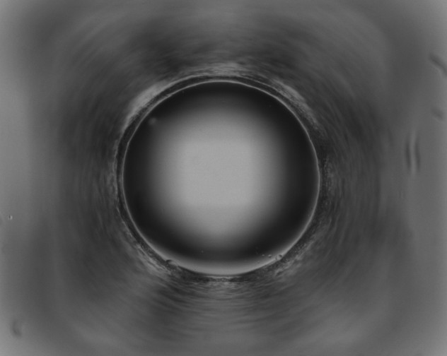 X0000093771176200710161236