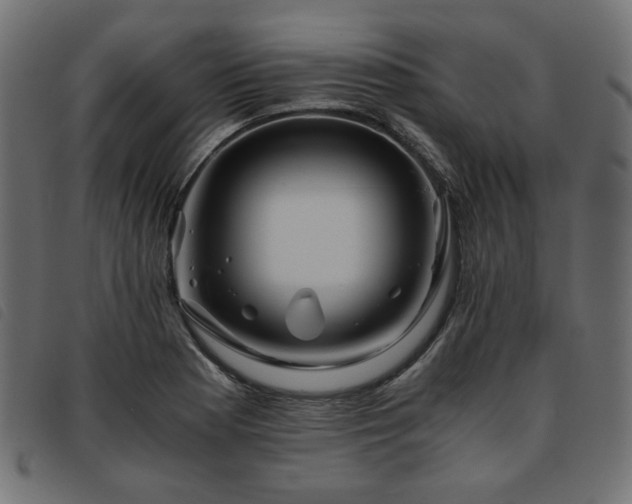 X0000093771177200710161236