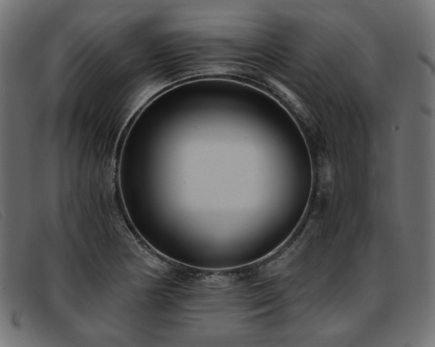 X0000093771178200710161236