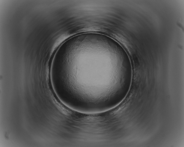 X0000093771179200710161236