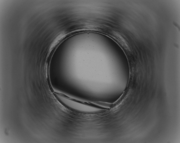 X0000093771180200710161236