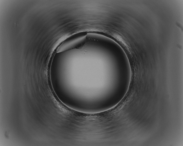 X0000093771181200710161236