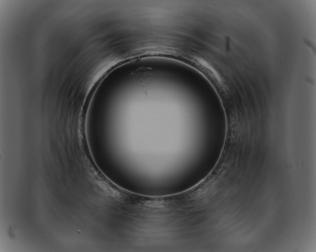 X0000093771182200710161236