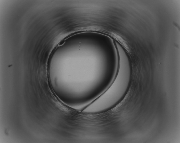 X0000093771184200710161236