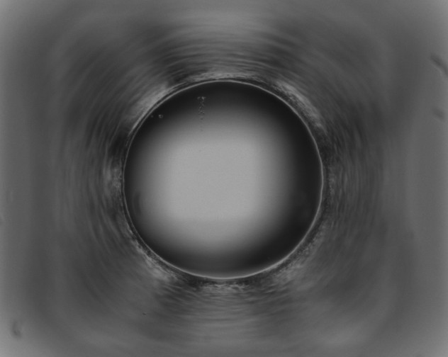 X0000093771185200710161236