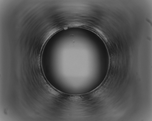X0000093771186200710161236