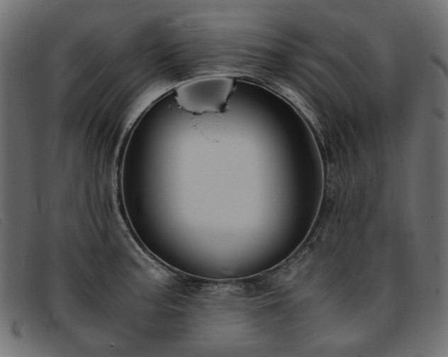 X0000093771187200710161236