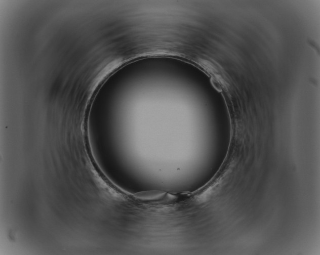 X0000093771189200710161236