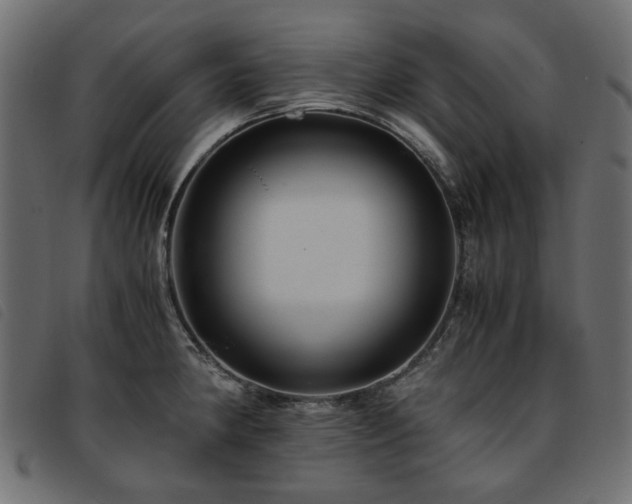 X0000093771190200710161236