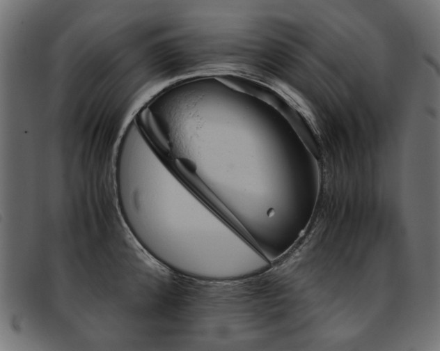 X0000093771192200710161236