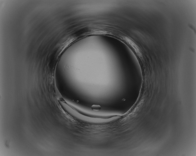 X0000093771193200710161236