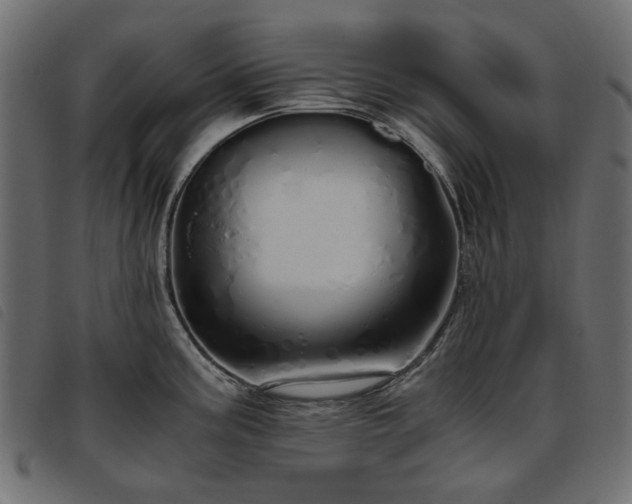 X0000093771195200710161236