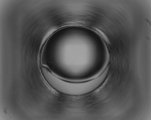 X0000093771196200710161236