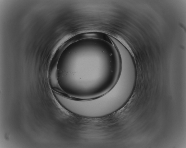 X0000093771197200710161236