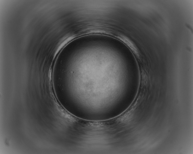 X0000093771198200710161236