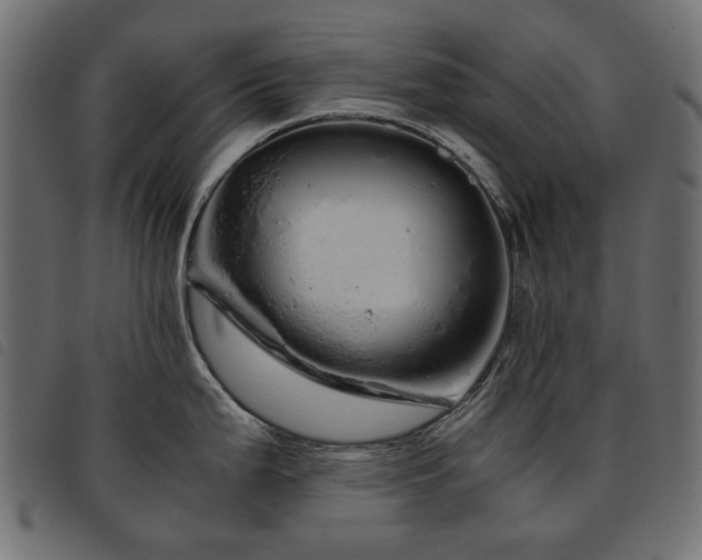 X0000093771199200710161236