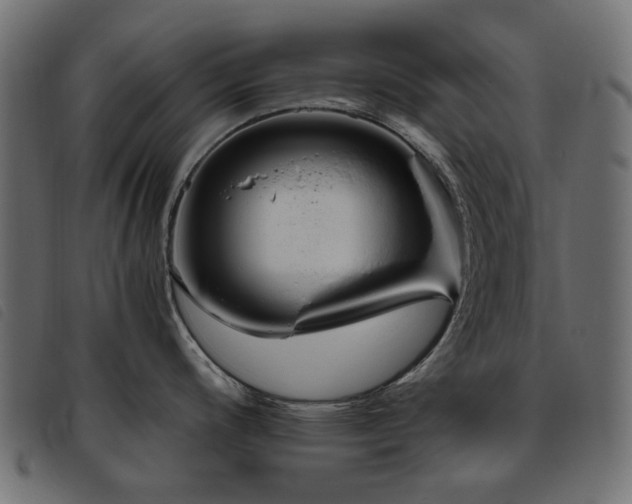 X0000093771200200710161236