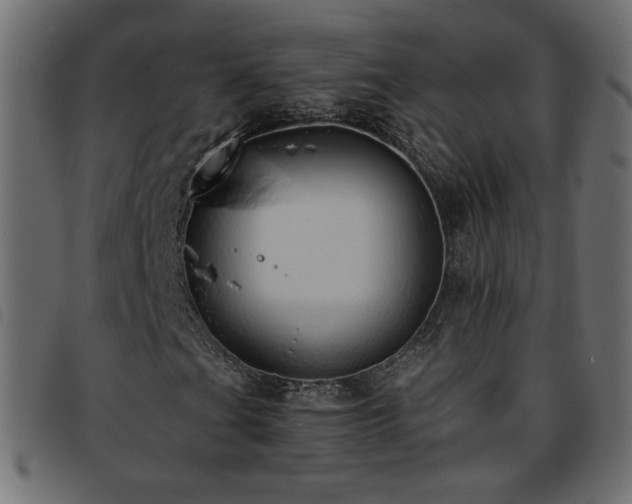 X0000093771201200710161235