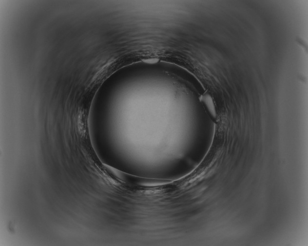 X0000093771202200710161235