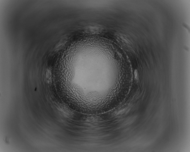 X0000093771203200710161235