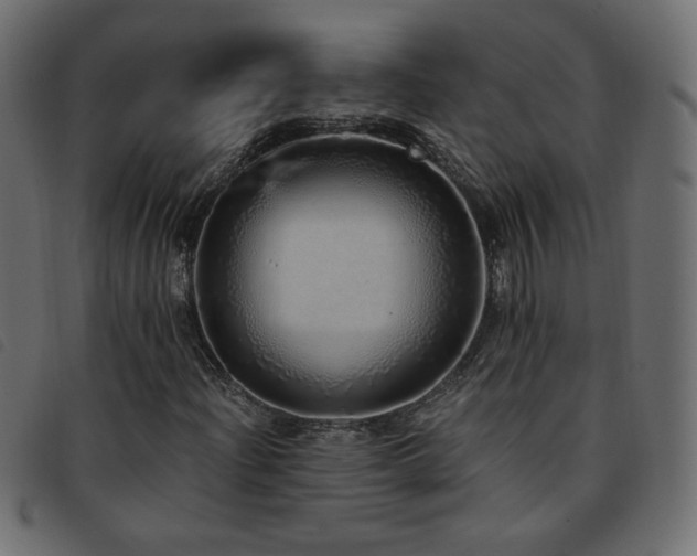 X0000093771204200710161235