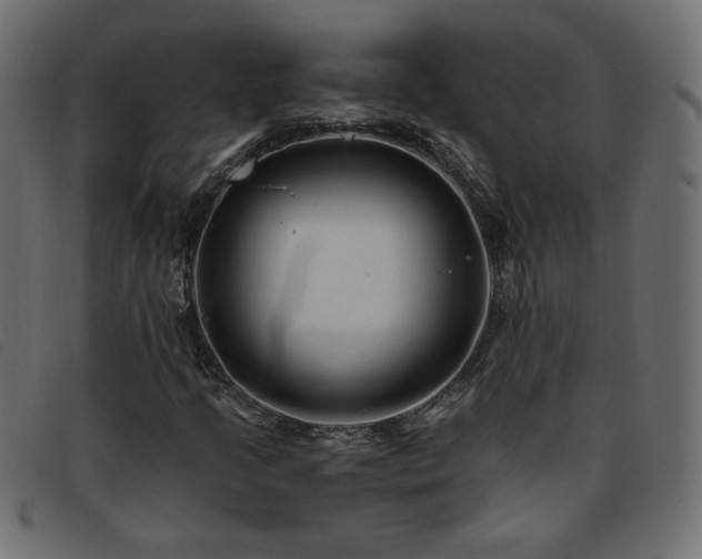 X0000093771205200710161235