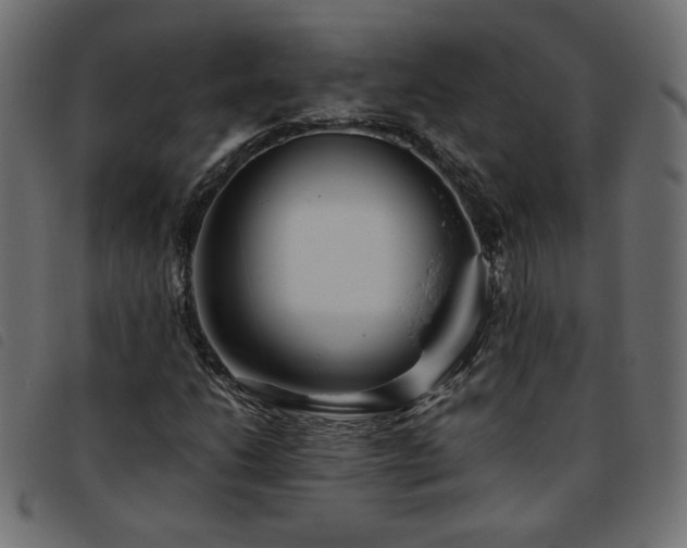 X0000093771206200710161235
