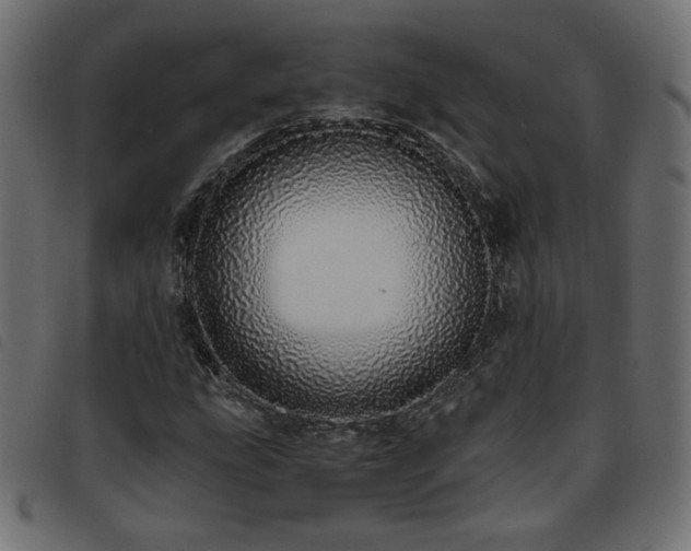 X0000093771207200710161235