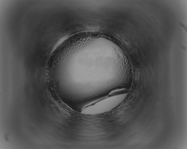 X0000093771208200710161235