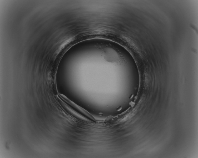 X0000093771210200710161235