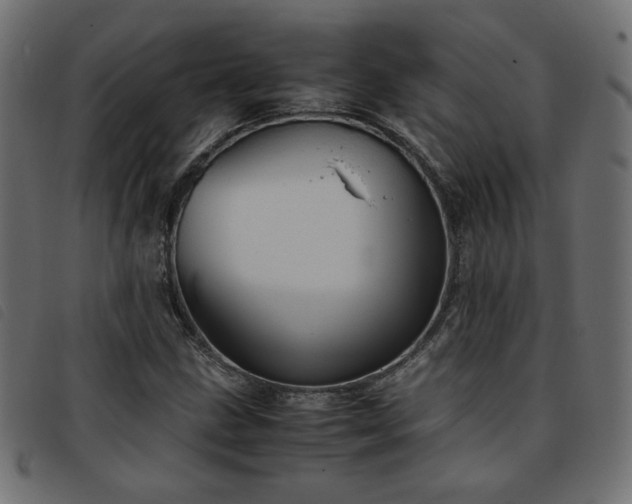 X0000093771211200710161235