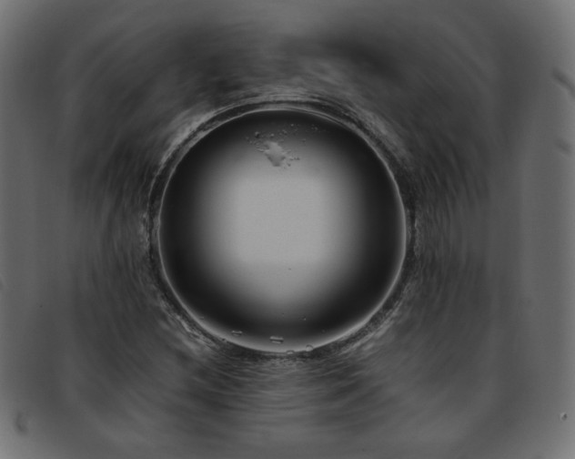 X0000093771212200710161235