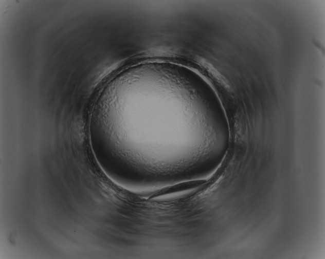 X0000093771213200710161235