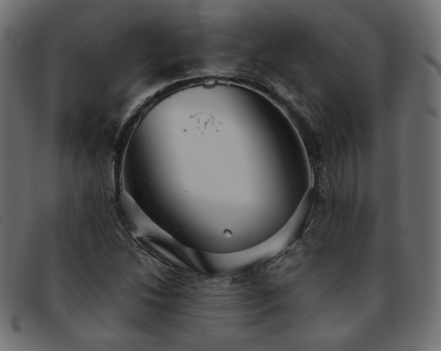 X0000093771214200710161235