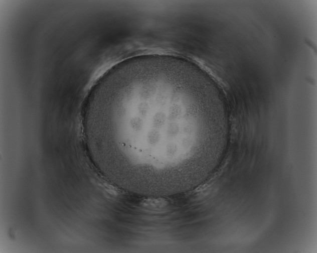 X0000093771215200710161235