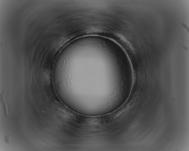 X0000093771217200710161235