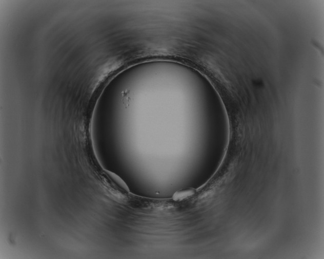 X0000093771218200710161235