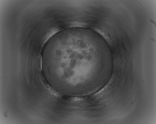 X0000093771219200710161235