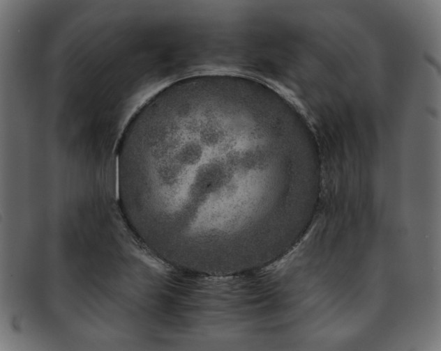 X0000093771223200710161236