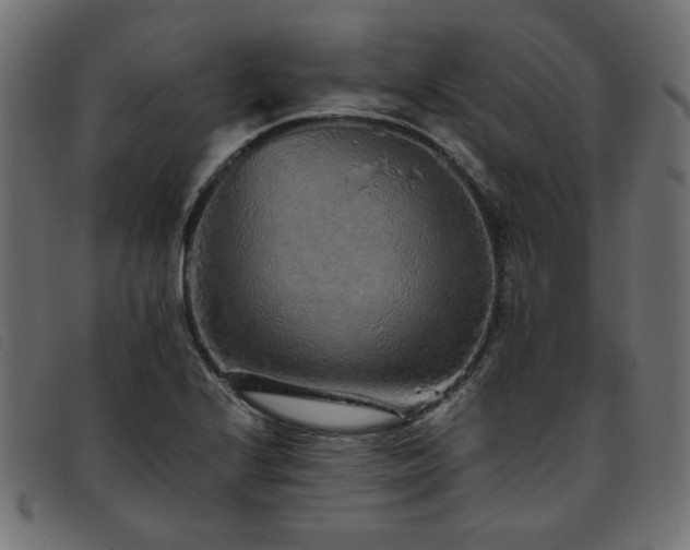 X0000093771224200710161236