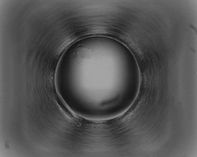 X0000093771225200710161236