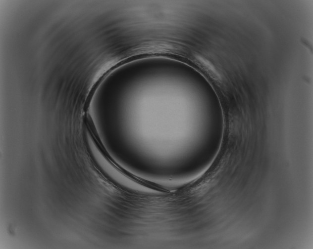 X0000093771226200710161236