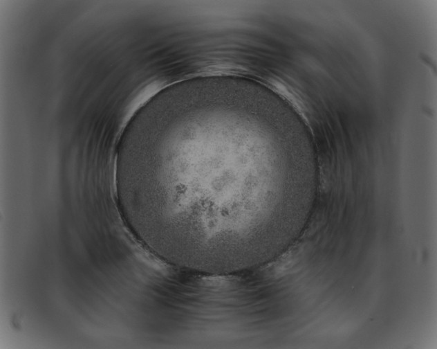 X0000093771227200710161236