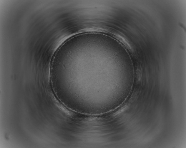 X0000093771228200710161236