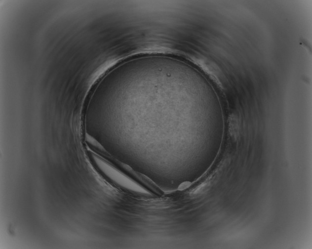 X0000093771229200710161236