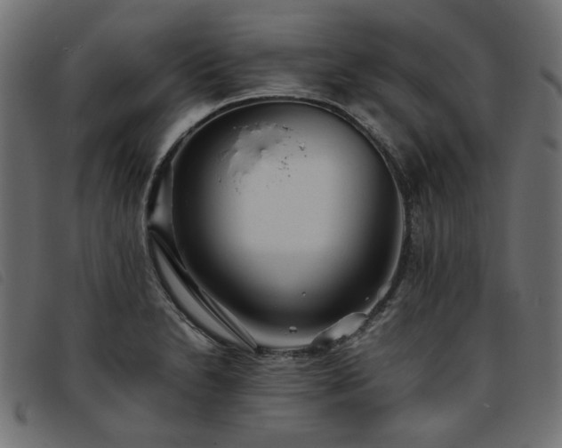X0000093771230200710161236
