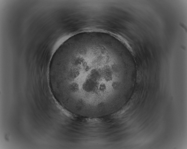 X0000093771231200710161236