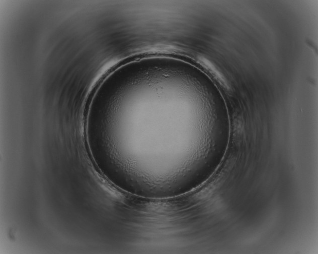 X0000093771232200710161236